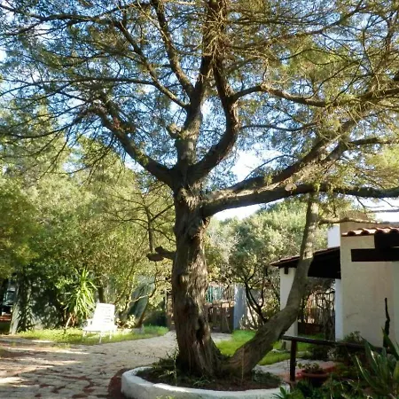 2 Bedrooms Appartement At Villasimius 500 M Away From The Beach With Enclosed Garden *